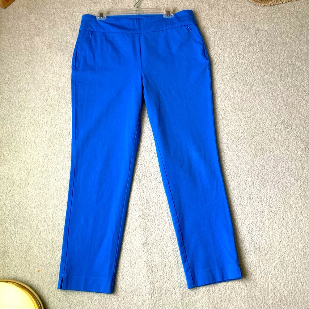 Soft Surroundings Tummy Control Panel Pull On Stretch Ankle Pants Size Large